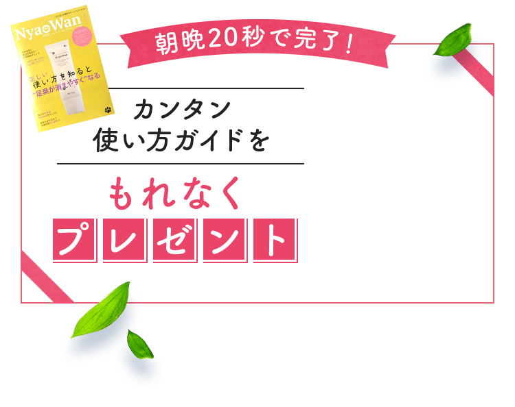 朝晩20秒で完了！