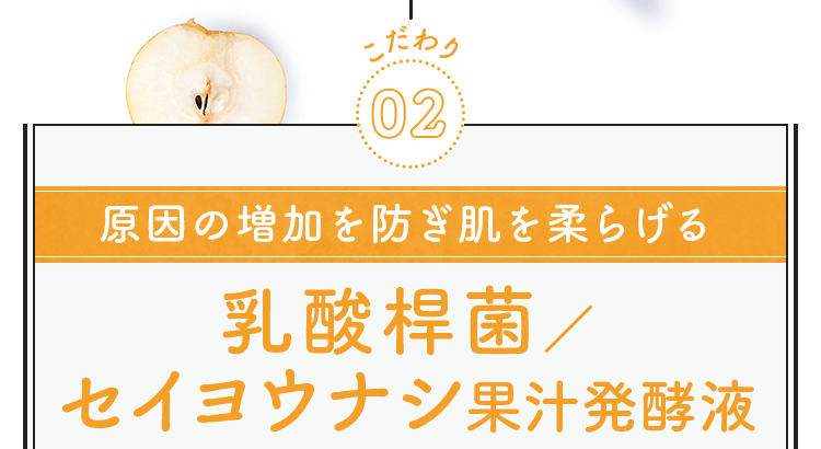 乳酸桿菌/セイヨウナシ果汁発酵液