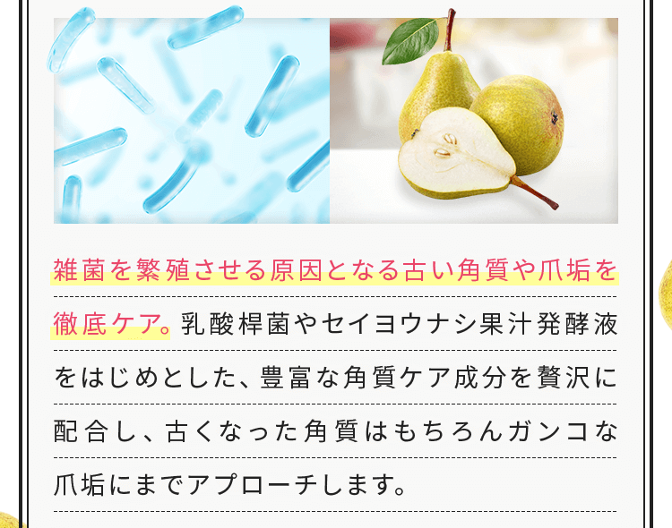雑菌を繁殖させる原因となる古い角質や爪垢を徹底ケア。