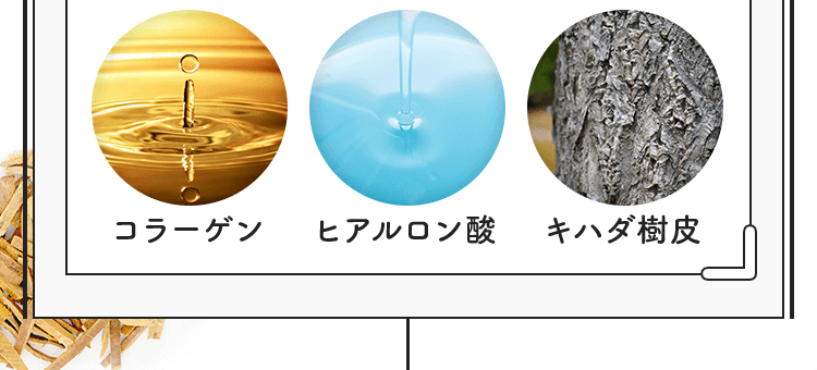 コラーゲン、ヒアルロン酸、キハダ樹皮